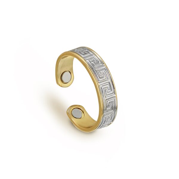 BAGUE MAGNÉTIQUE